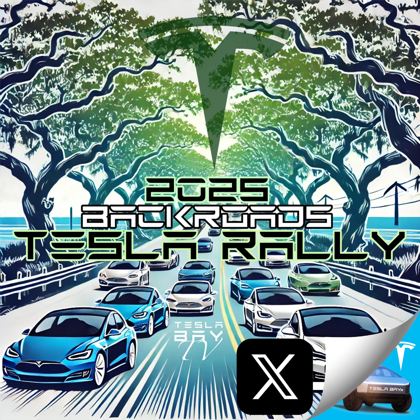 Backroads Tesla Rally 2025 SPRING SUNSET EDITION Pack & Position #