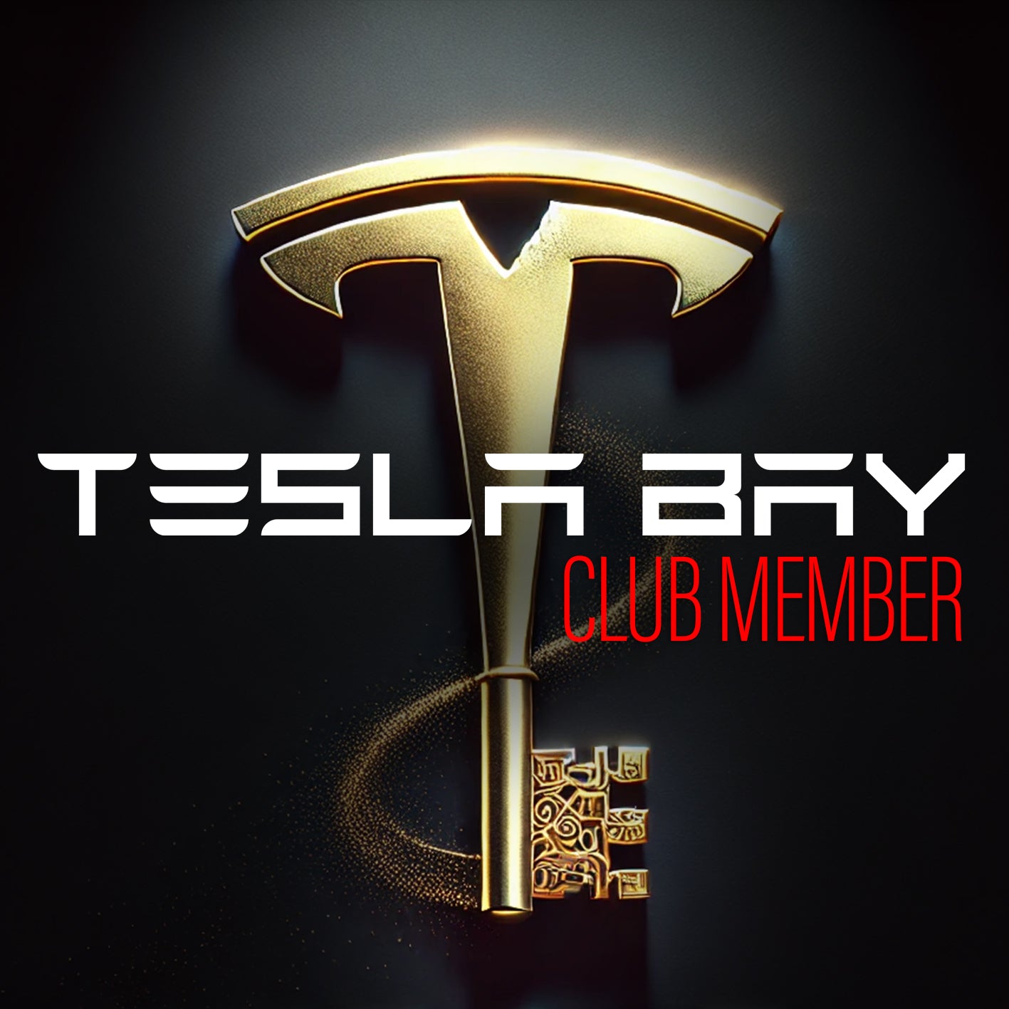 Tesla Bay Club Member 2025 Access Pass